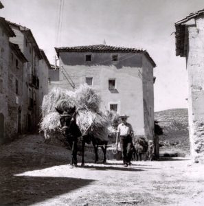 Baldellou, 1957: de vuelta con la mies (foto José María Canes Cuyás, fondo CELLIT, cedida a Fototeca de Huesca)